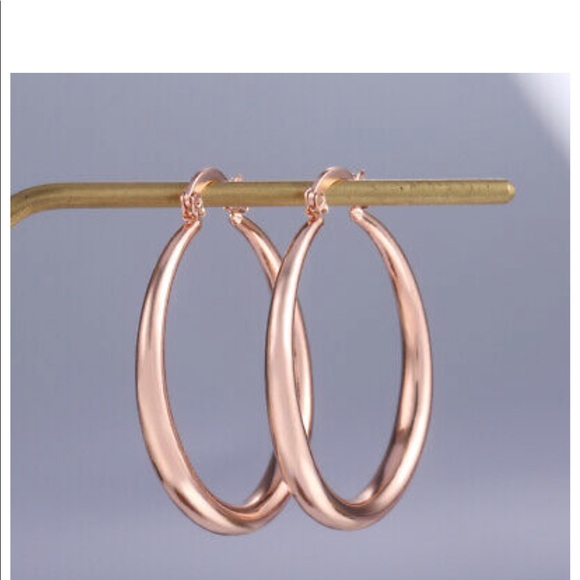 New Rose Gold Hoop Earrings for Women - Picture 2 of 6